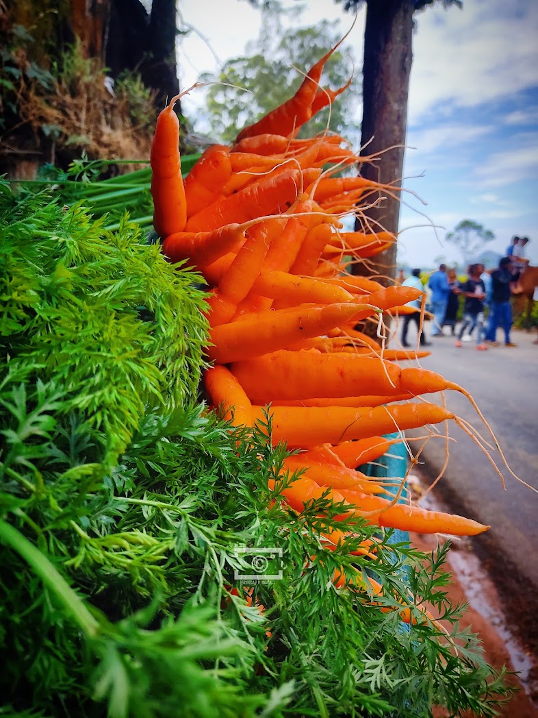 photo point mattupatti road